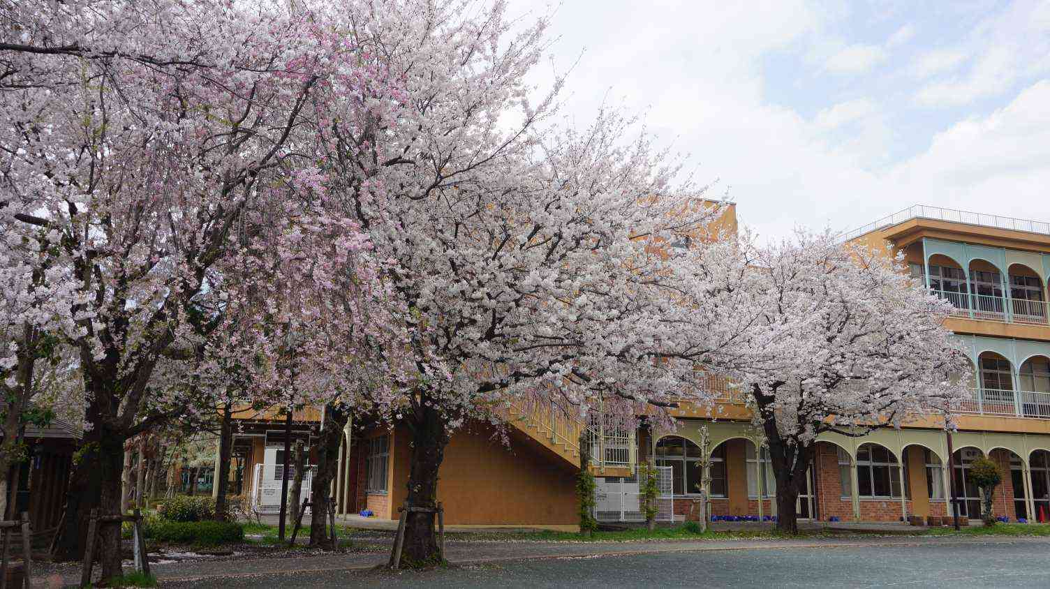 DSC08303 (1)