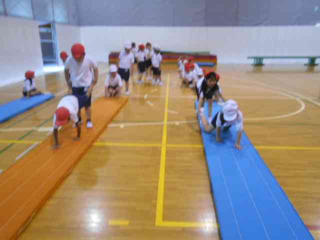 DSCN0293