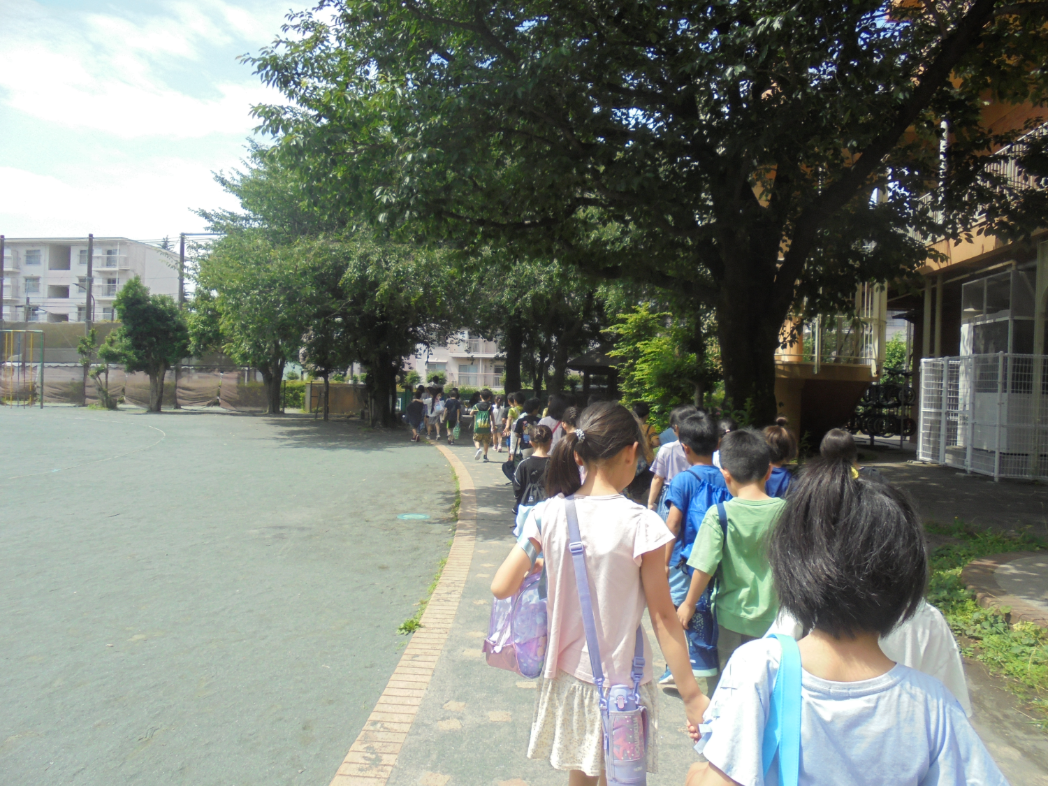 image (2)