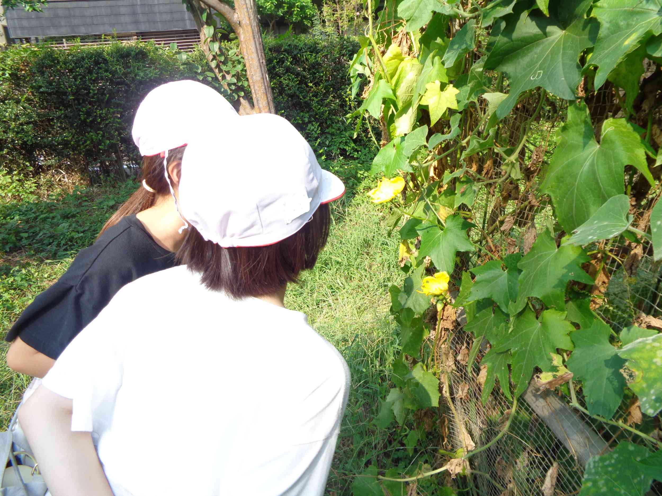 DSC00106